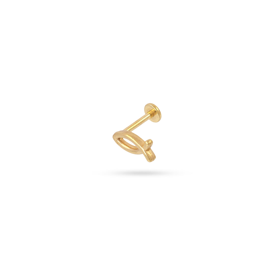 Piercing Shoal Dorado Anartxy