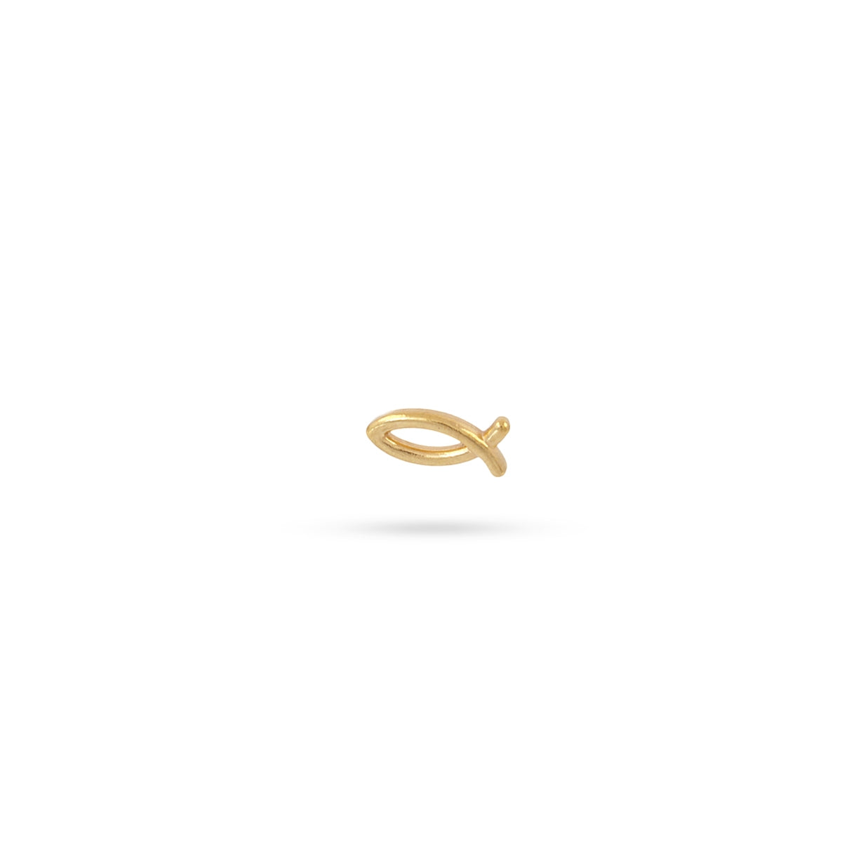 Piercing Shoal Dorado Anartxy