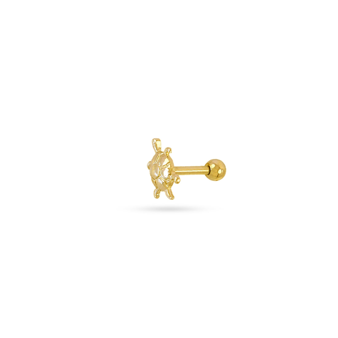 Piercing Tortoise Dorado Anartxy