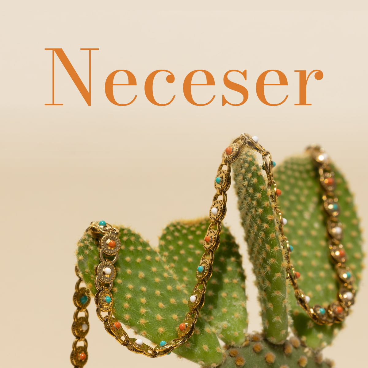 Neceser GRATIS Anartxy