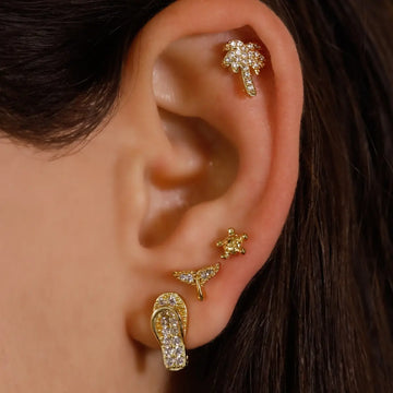 Piercing Whale Anartxy