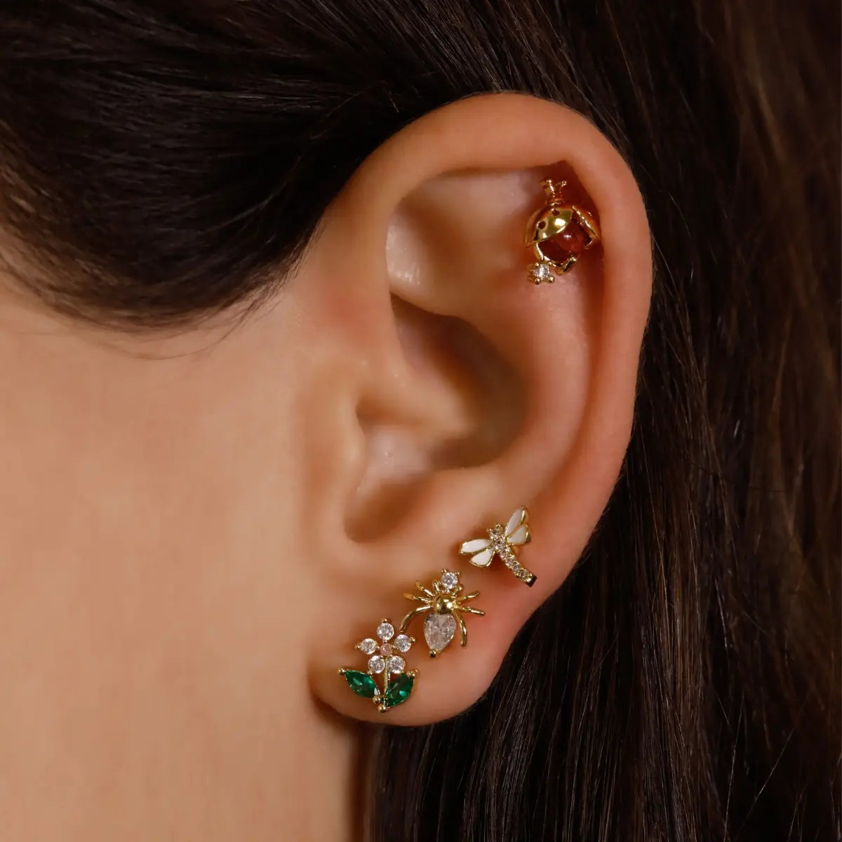 Piercing Wasp Anartxy